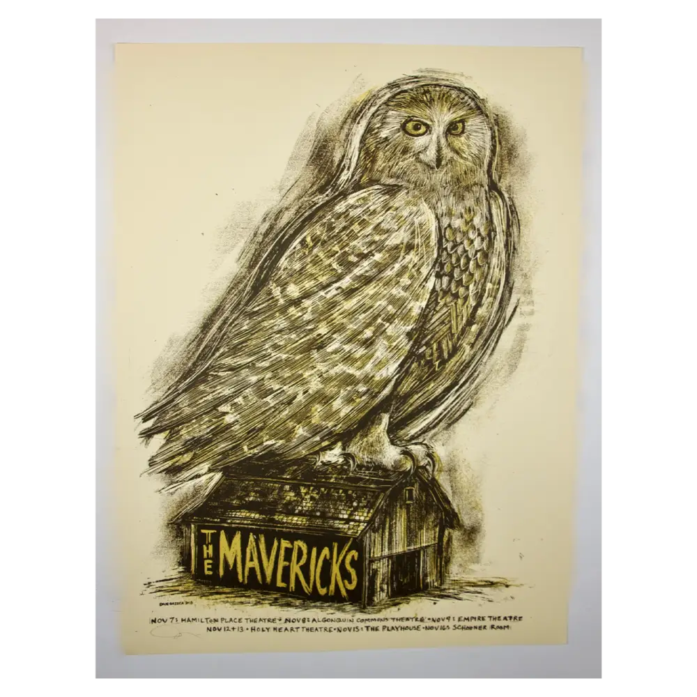 Owl perched on a box labeled ’The Mavericks’ in a sketched artistic style.