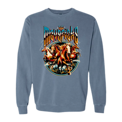 Blue sweatshirt with horse graphic.